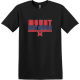 Mount St. Charles Softstyle T-Shirt